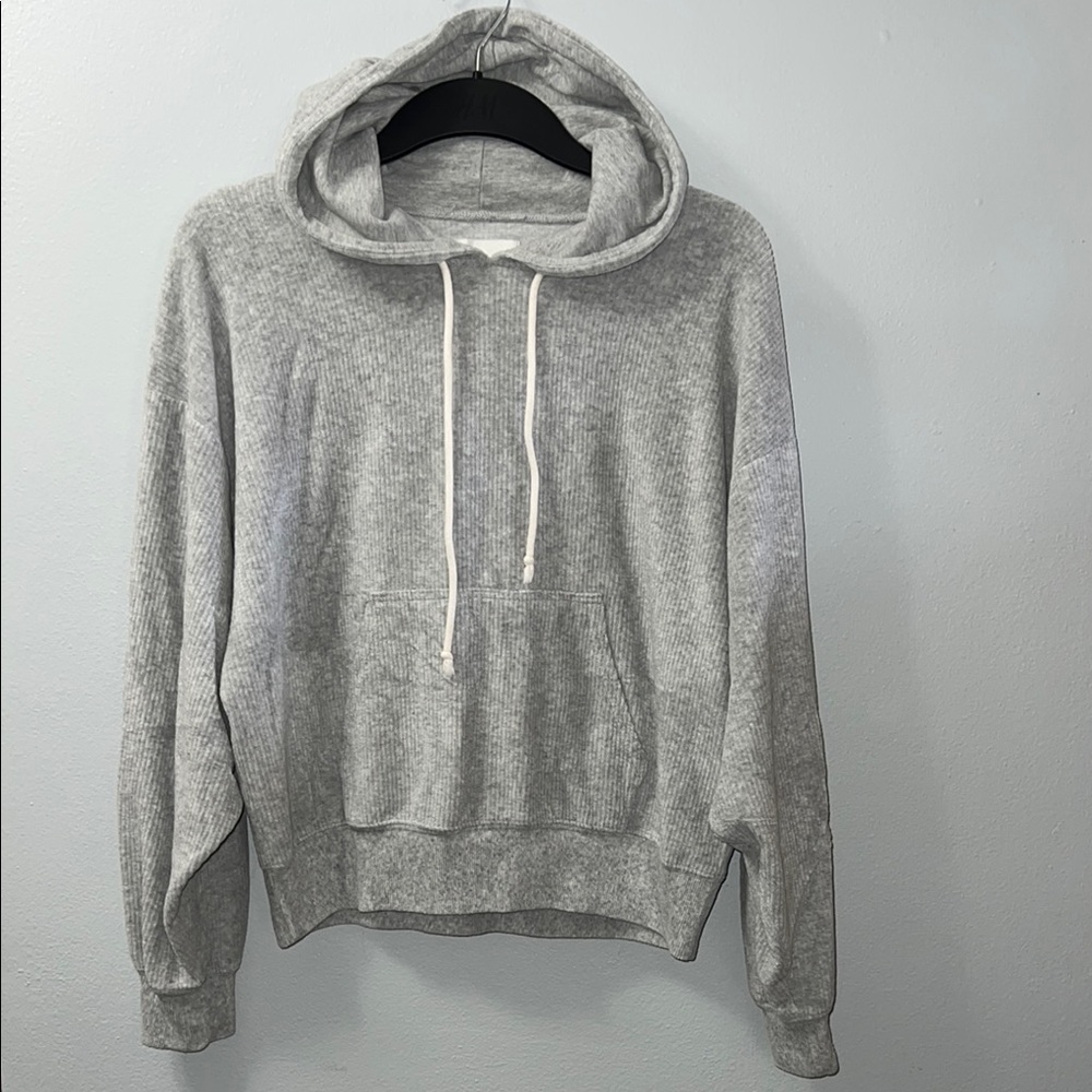 American Eagle Outfitters Gray Pullover velour Sweatshirt